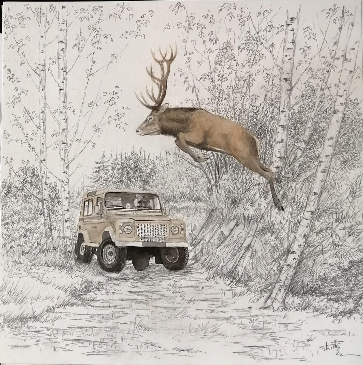 DEFENDER & CERF